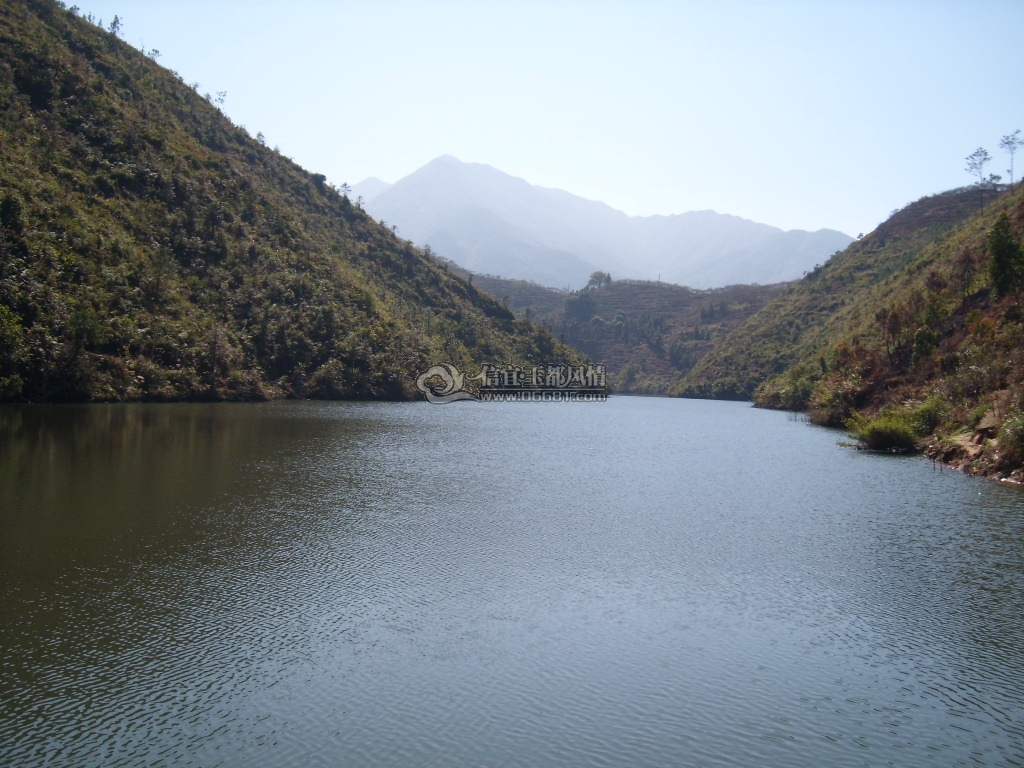 SL270790.JPG