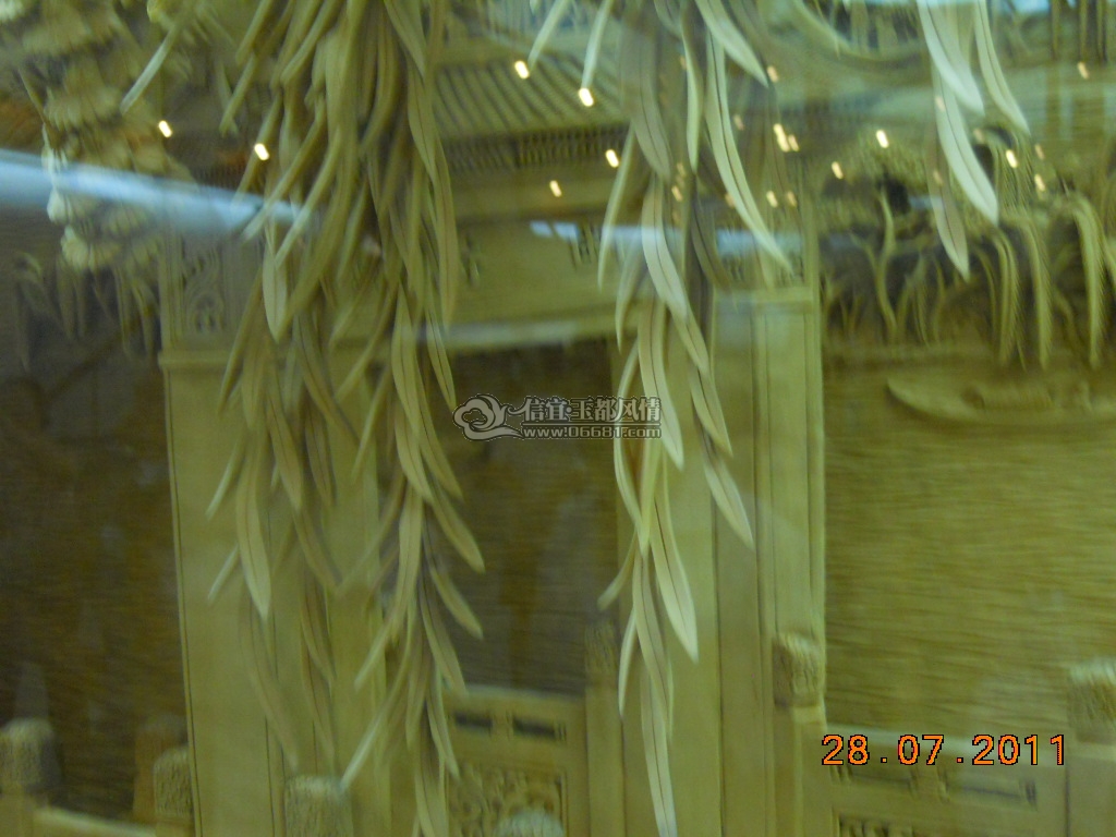 DSCN0728.JPG