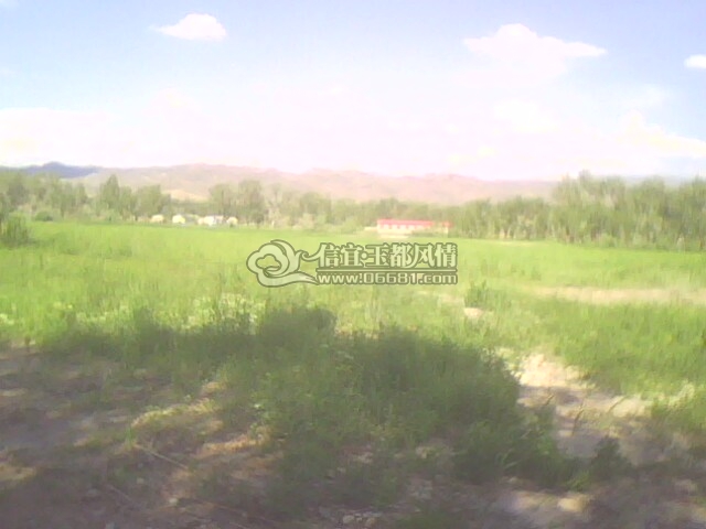 ���ӡ�� 071.jpg