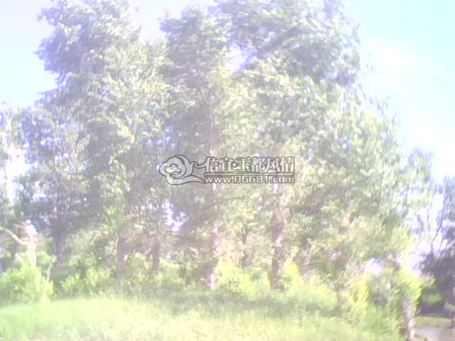 ���ӡ�� 072.jpg