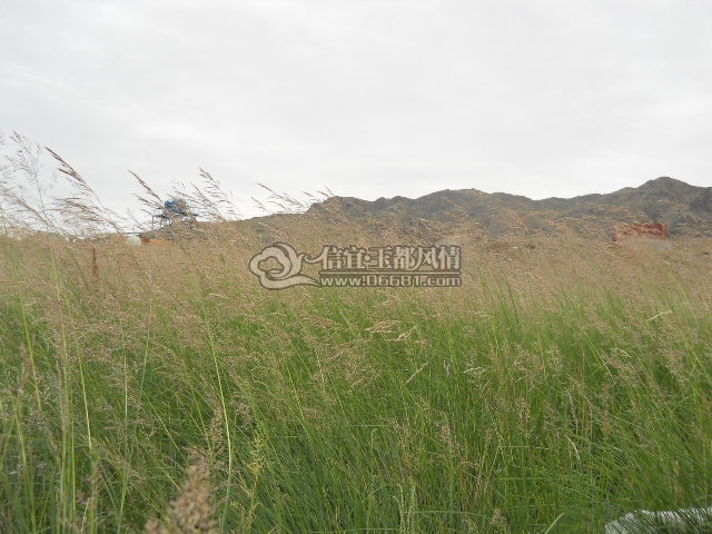 DSCN0239.JPG