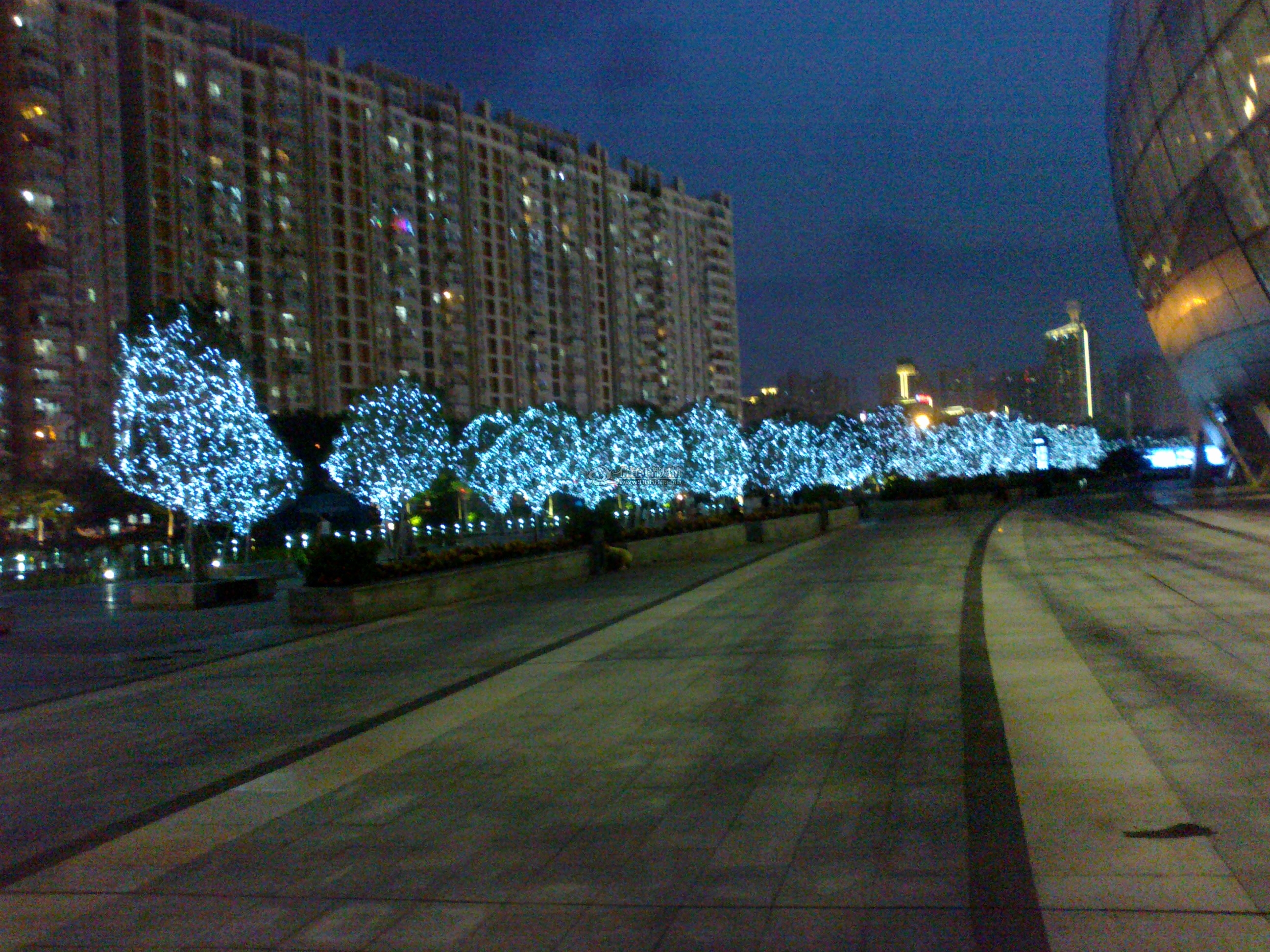 20110903101.jpg