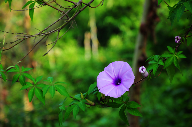 DSC_03420.jpg
