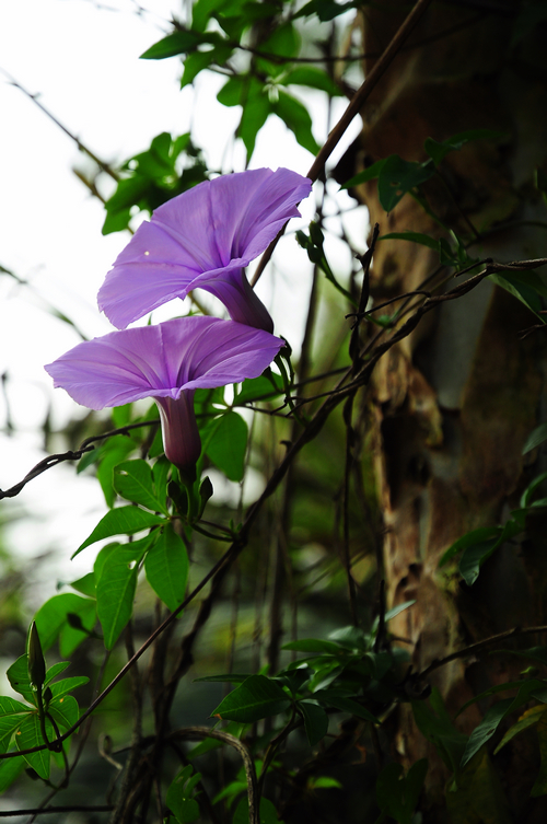 DSC_03480.jpg