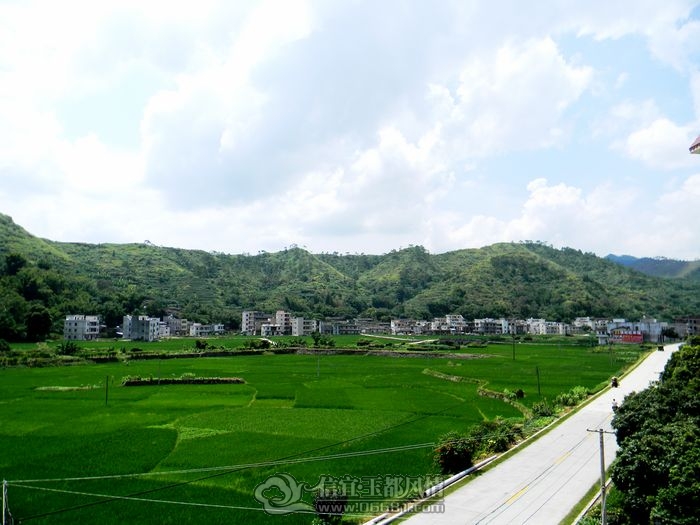 DSCN1587.JPG
