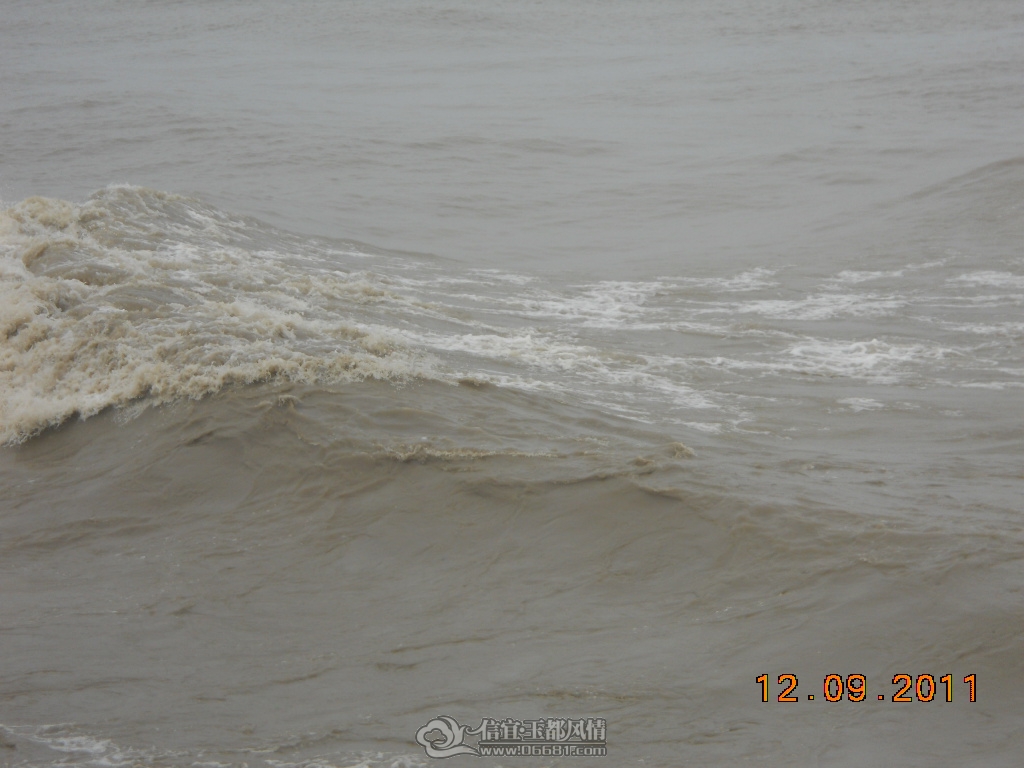 DSCN0939.JPG