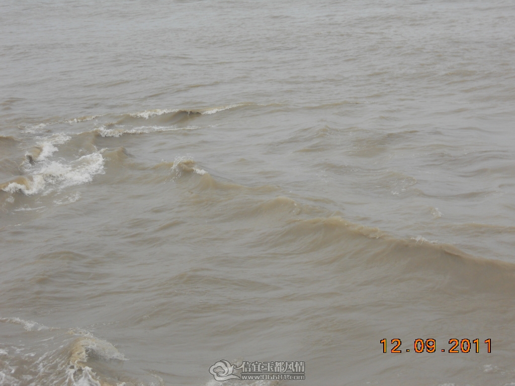 DSCN0950.JPG