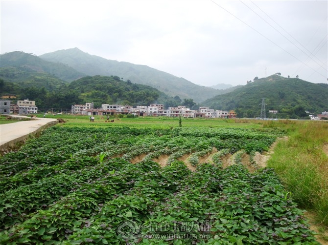 �μ�կ�����ֳ�.jpg