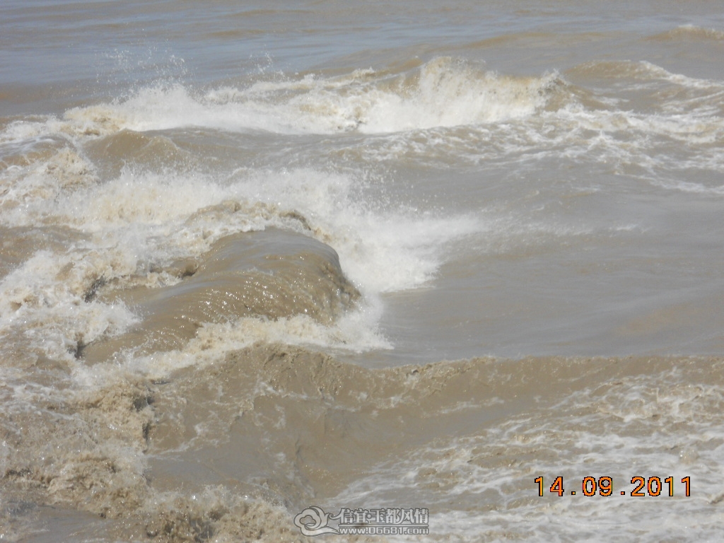 DSCN0971.JPG