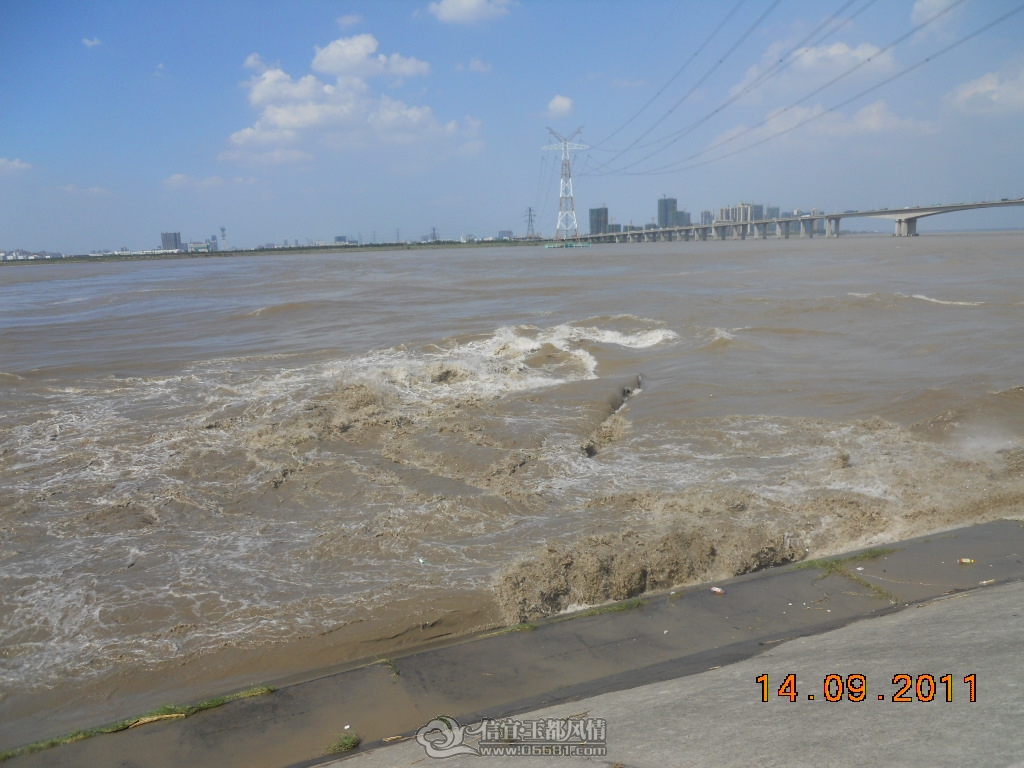 DSCN0973.JPG