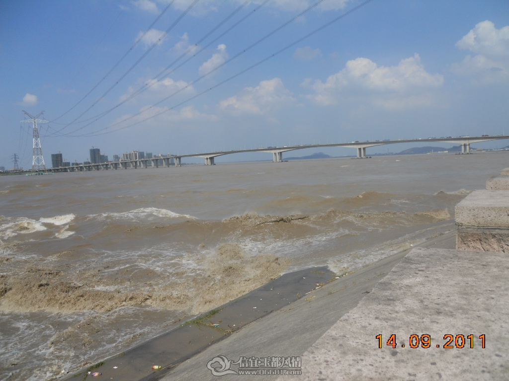 DSCN0977.JPG