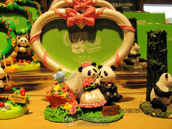IMG_6650.JPG
