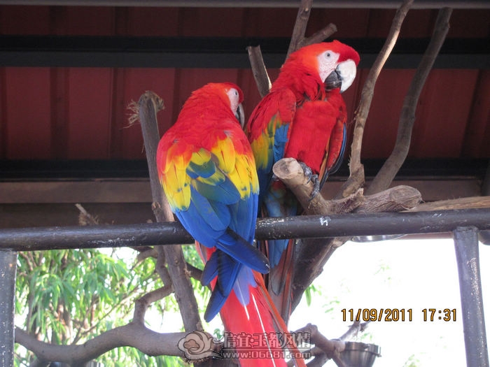 IMG_6834.JPG