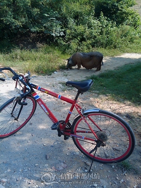 IMAG0247.jpg