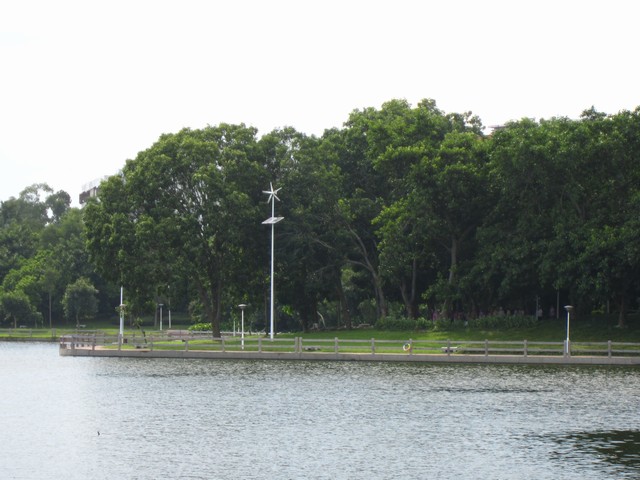 IMG_7390.JPG