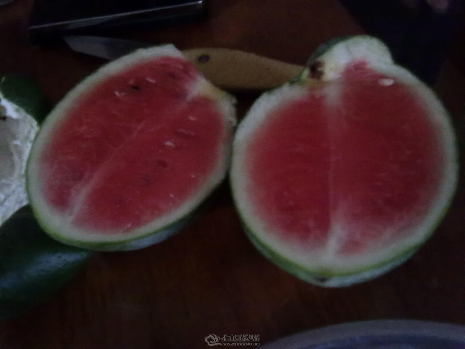 20110920024.jpg