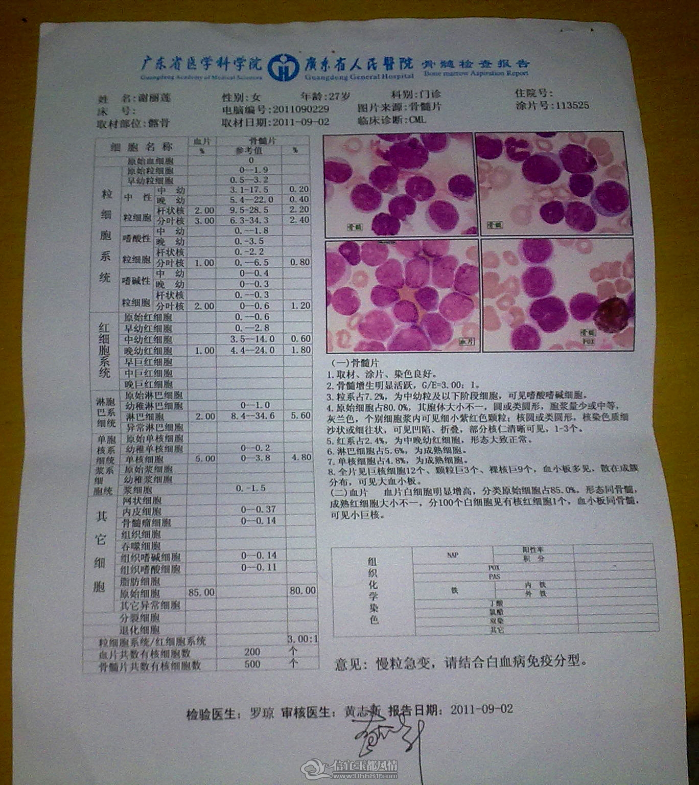 20110919126.jpg