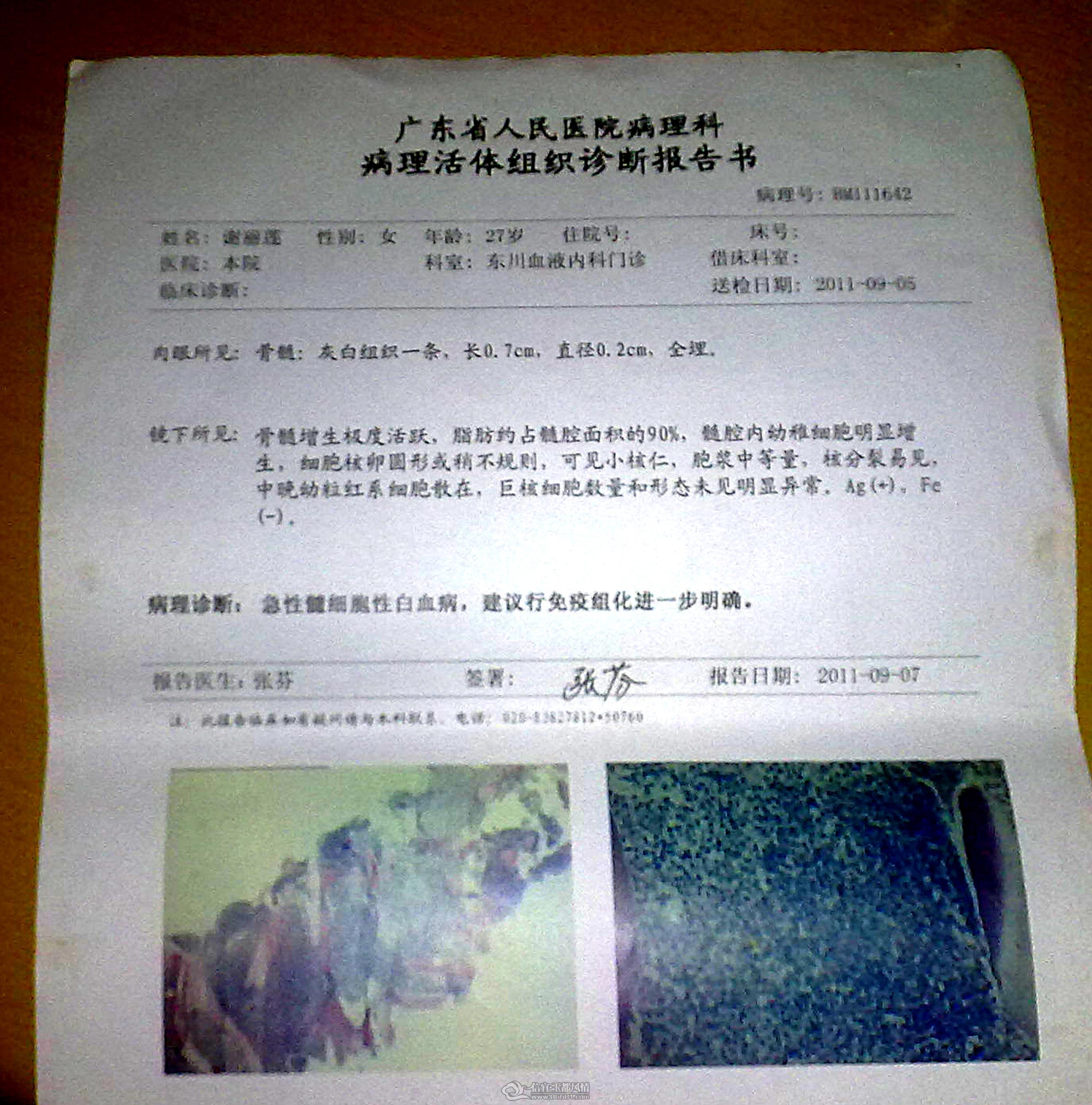 20110919129.jpg