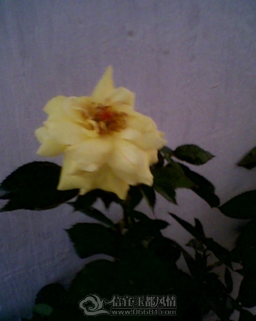 IMG0193A.jpg
