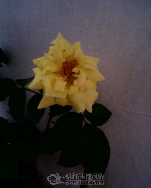 IMG0194A.jpg