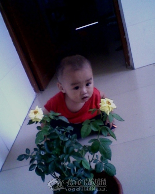 IMG0197A.jpg