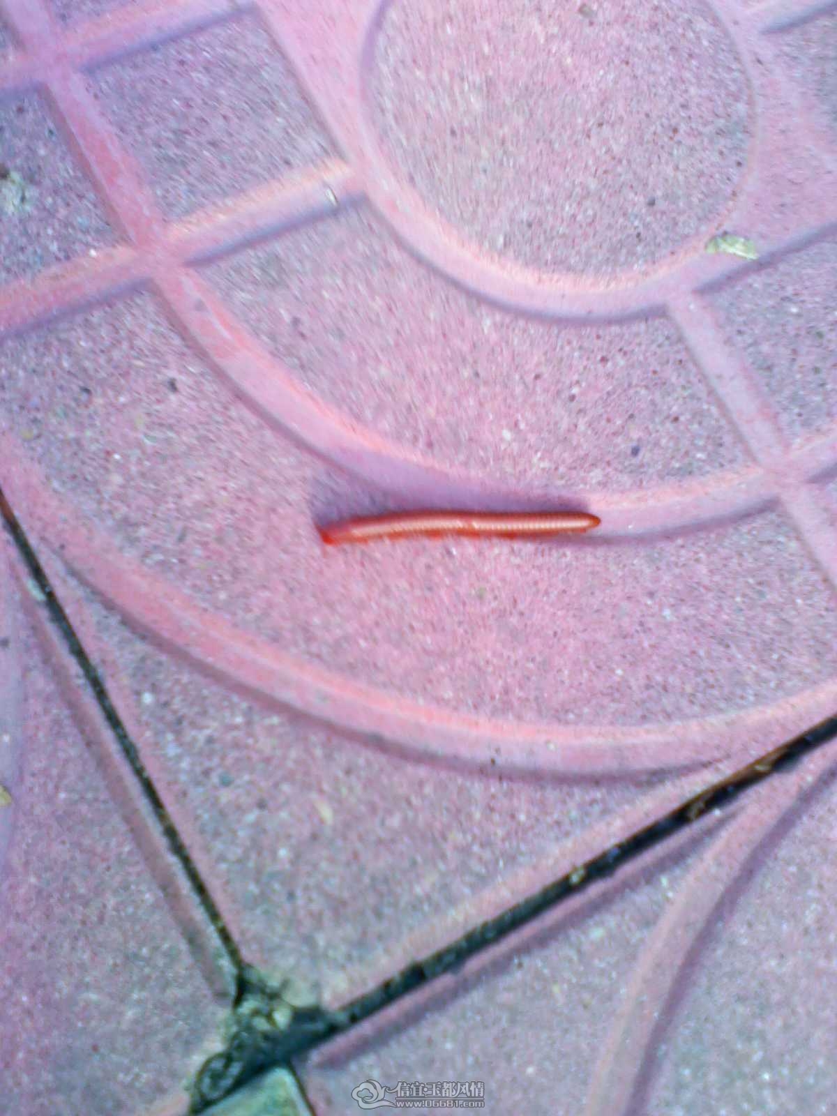 2011092219.jpg