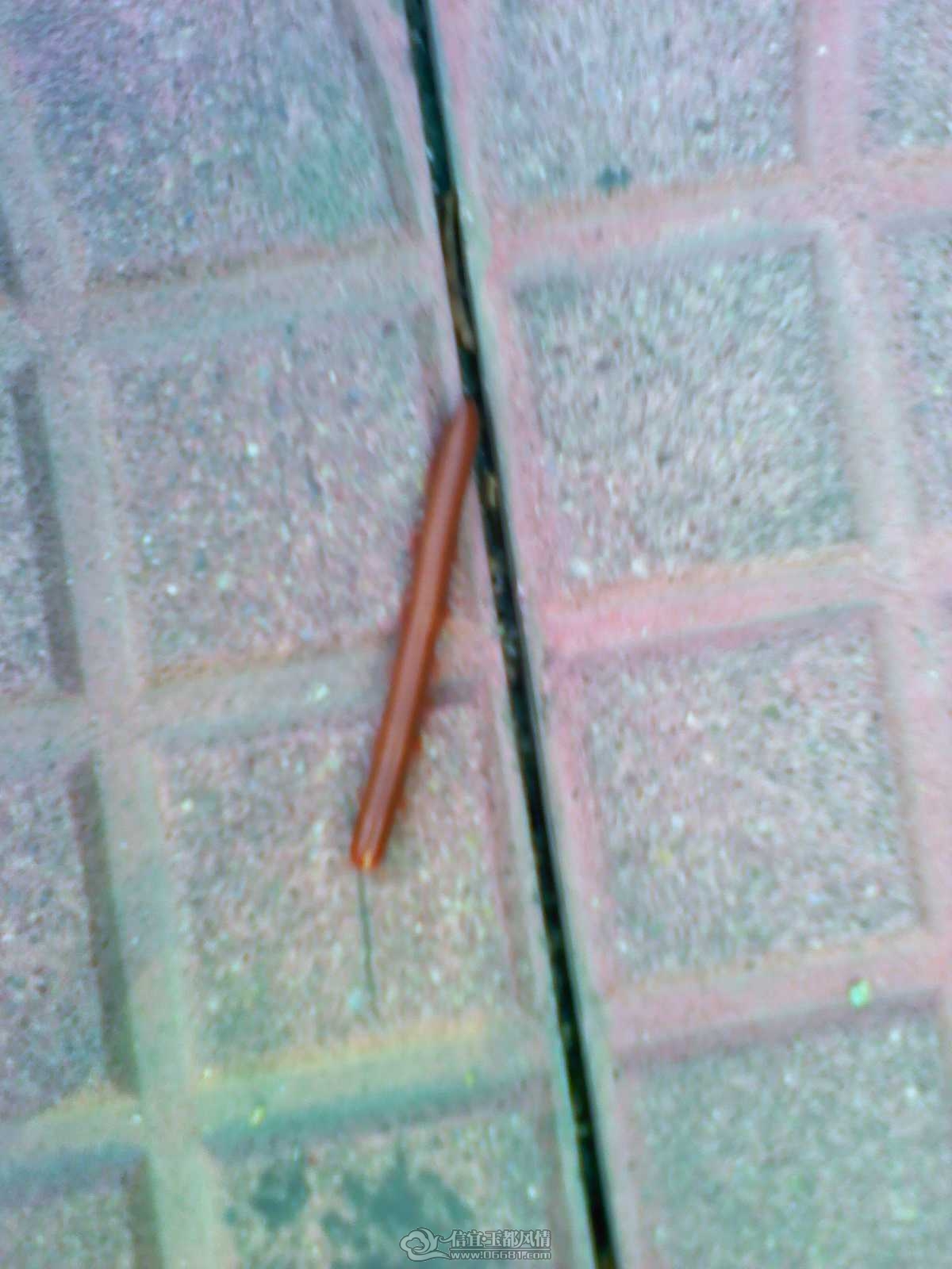 2011092221.jpg