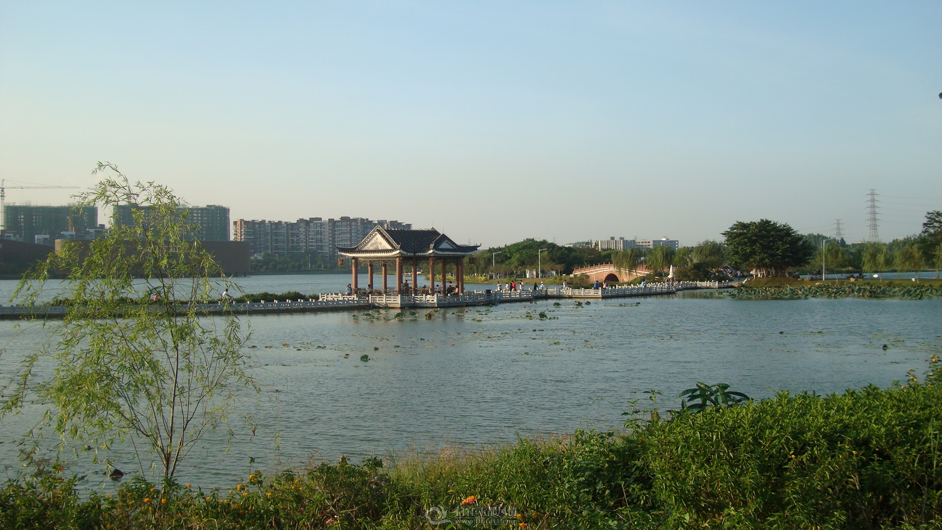 DSC01301.JPG