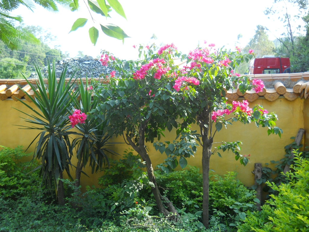 DSCN0987.JPG