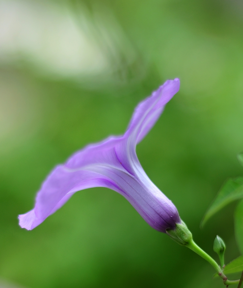 nEO_IMG_DSC_0415.jpg