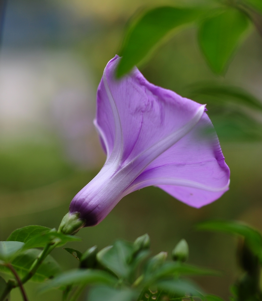 nEO_IMG_DSC_0422.jpg
