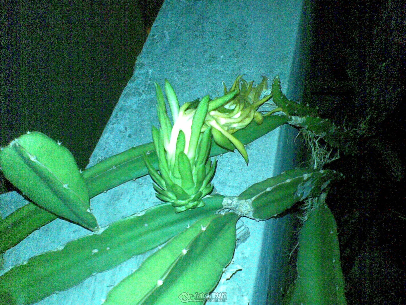 20110925(002).jpg