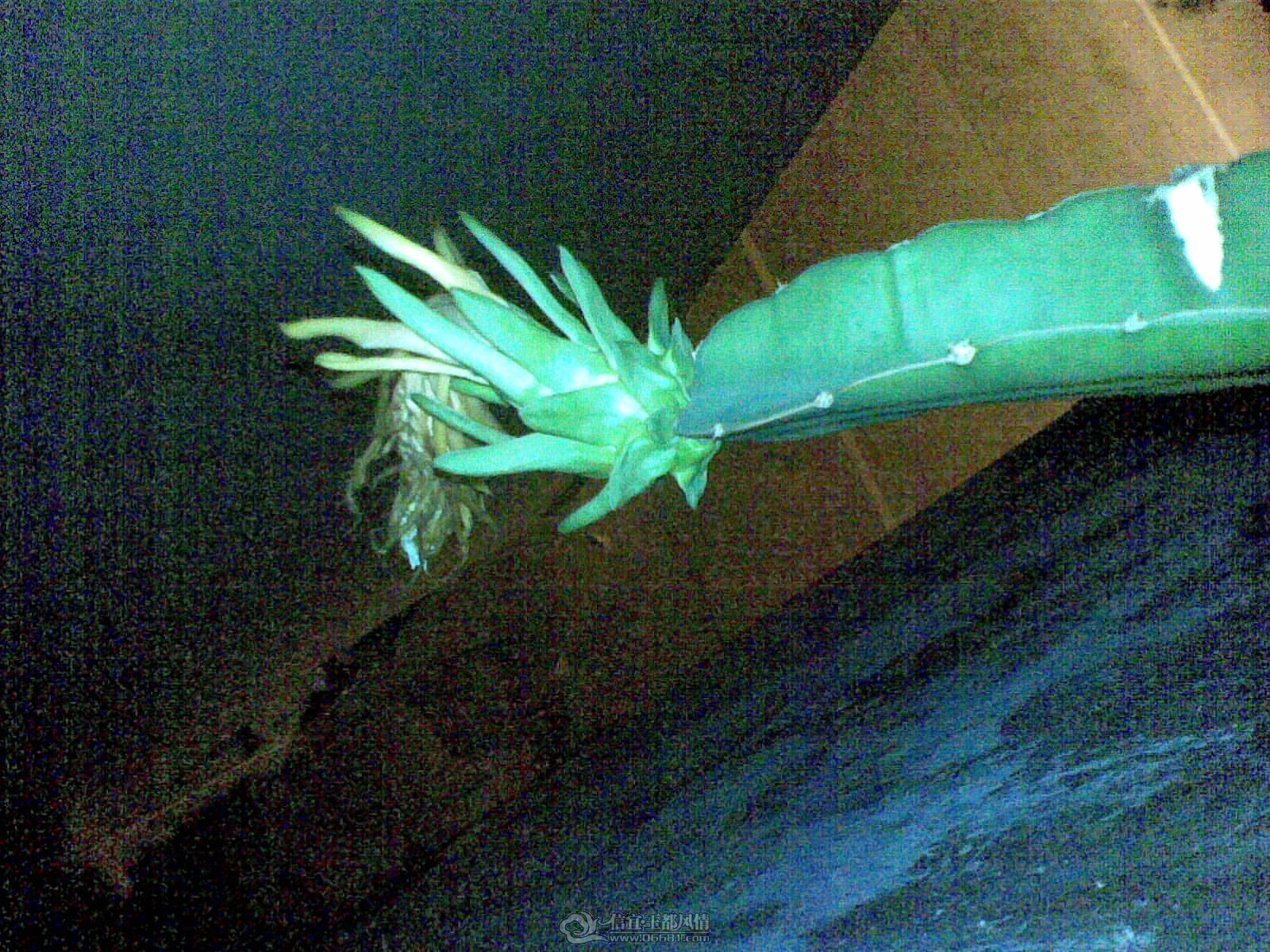 20110925.jpg