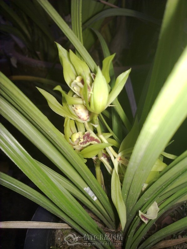 20110925327.jpg