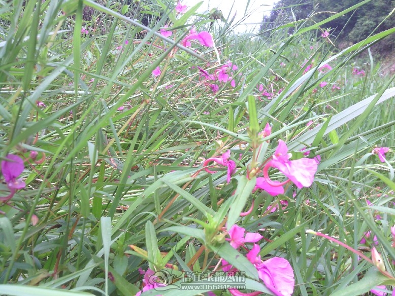 IMG_20110927_125534.jpg