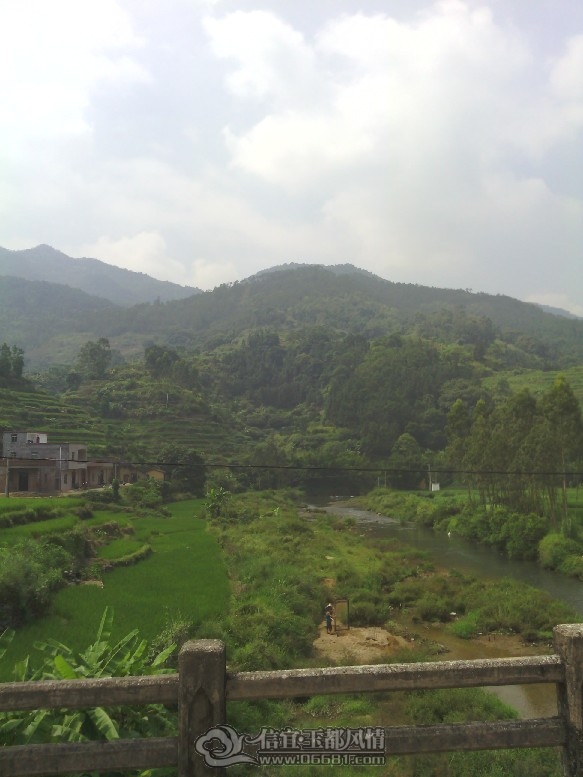 IMG_20110927_132323.jpg