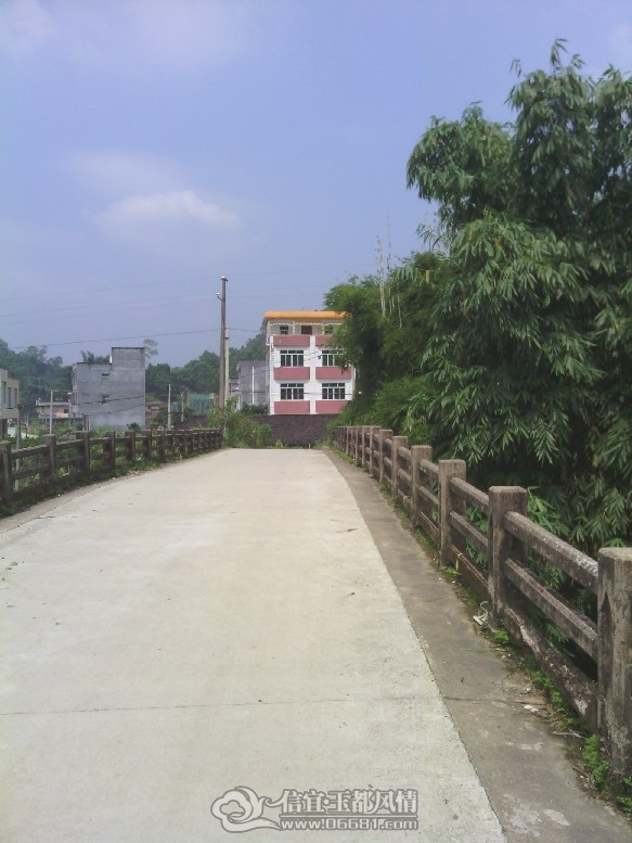 IMG_20110927_132220.jpg