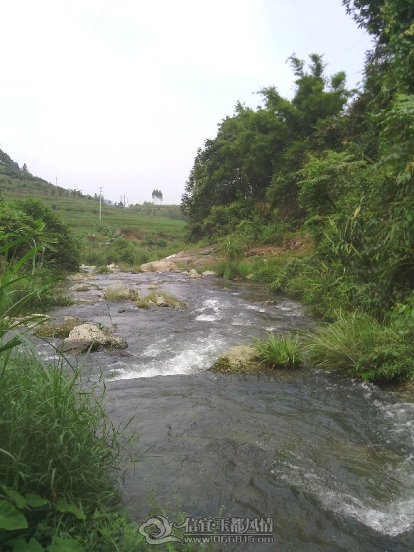 IMG_20110927_125214.jpg
