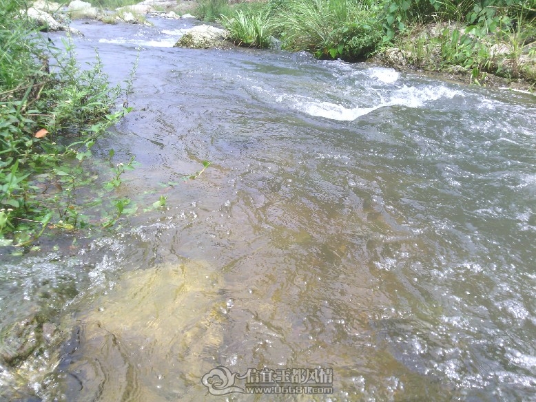 IMG_20110927_131016.jpg