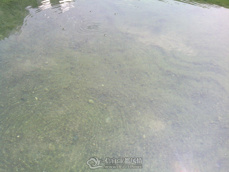 IMG_20110927_135041.jpg