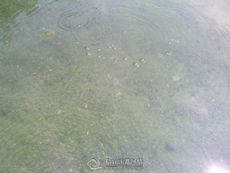 IMG_20110927_135046.jpg