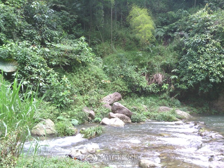 IMG_20110927_131100.jpg