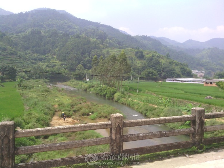 IMG_20110927_132259.jpg