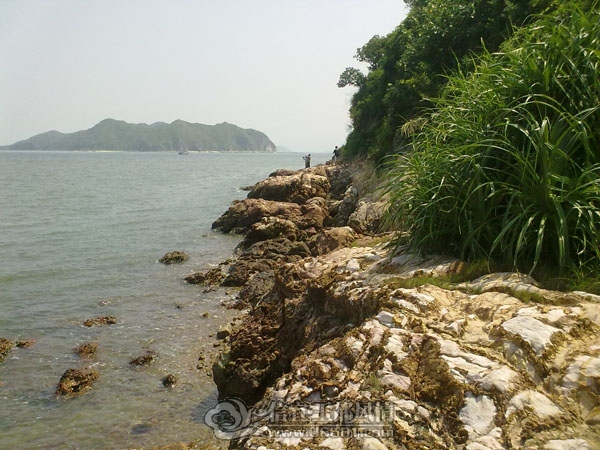 201109102598.jpg