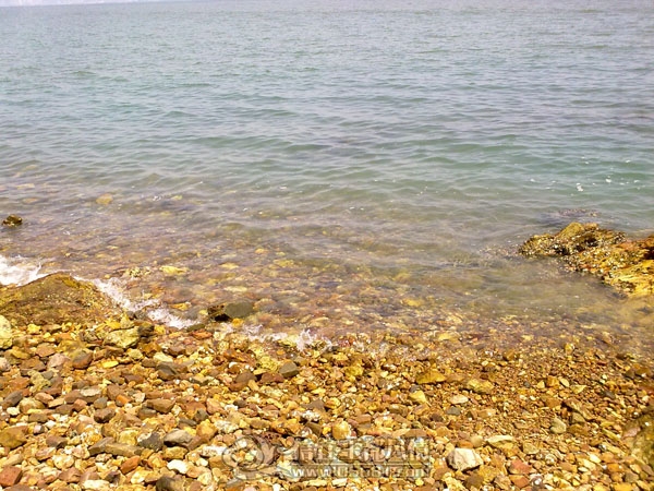 201109102591.jpg