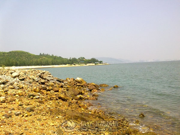 201109102590.jpg