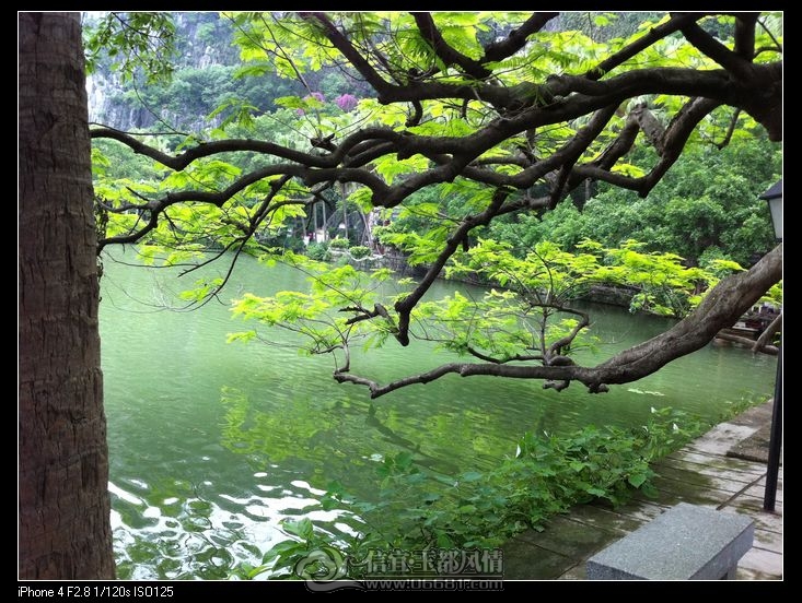 �ֻ���Ƭ 018.jpg