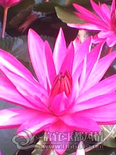 IMG0234A.jpg