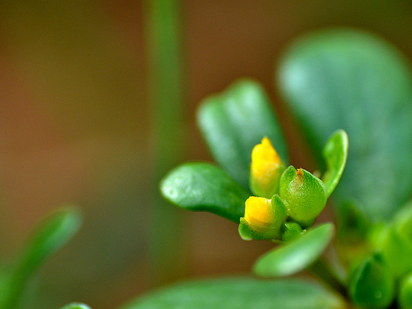 DSC_23141.jpg