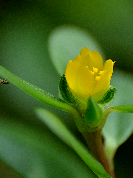 DSC_23242.jpg